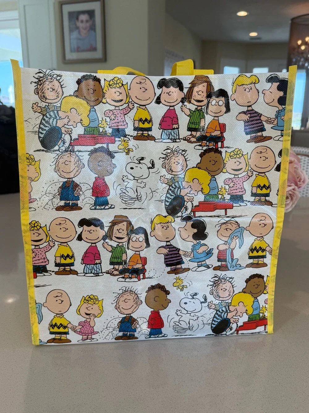 Peanuts shopper tote NWT snoopy, Charlie Brown, Lucy Peanuts gang